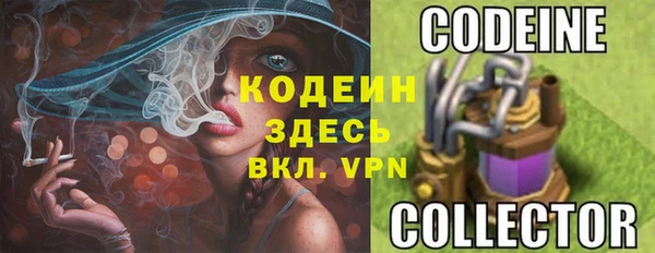 спайс Няндома