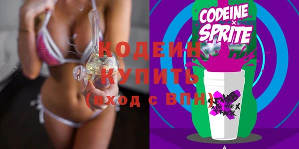 спайс Няндома