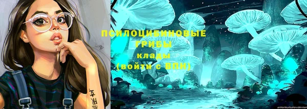 первитин Новозыбков