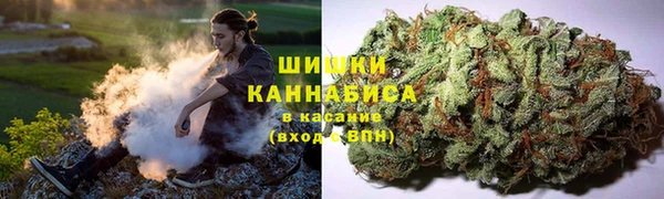 первитин Новозыбков