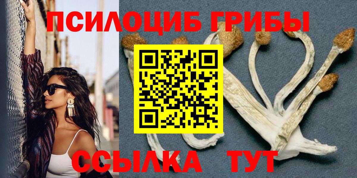 Ивантеевка  что такое   Вход с VPN  Псилоцибиновые грибы Psilocybe 