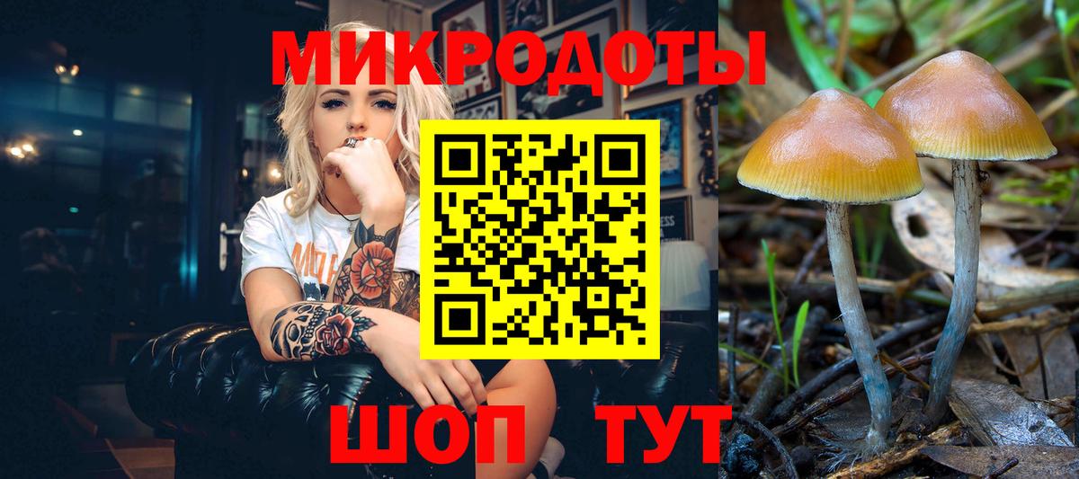 Галлюциногенные грибы Ивантеевка