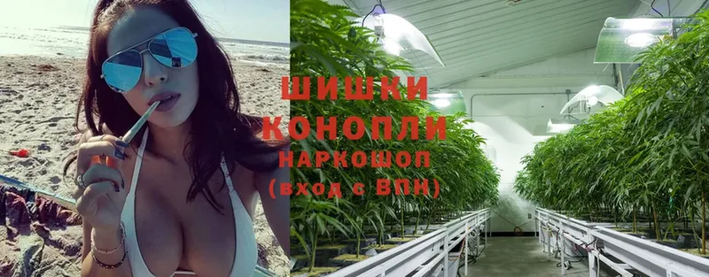 Конопля White Widow  магазин продажи наркотиков  shop как зайти  Ивантеевка 